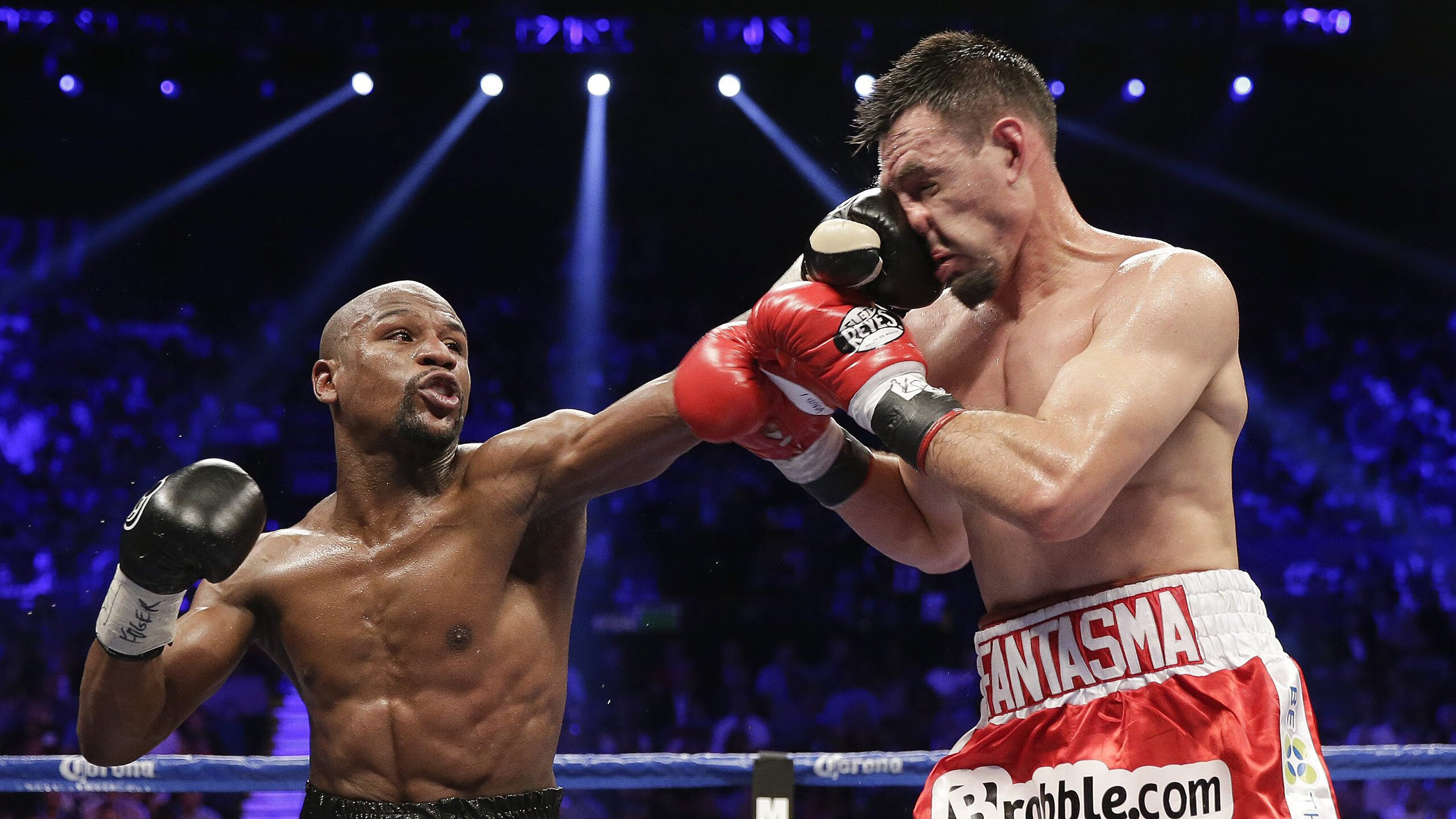 瑞士蝶泳节奏把控精准,世界顶级蝶泳视频