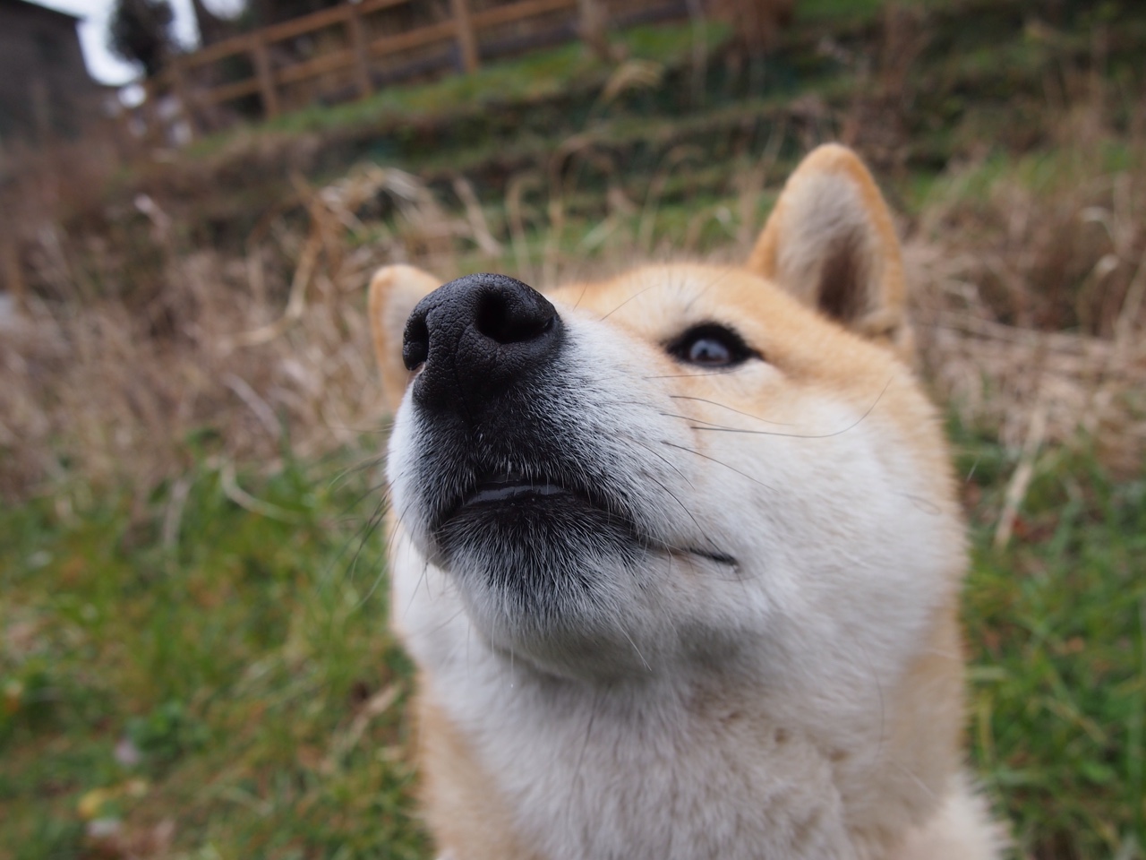 开云体育登陆入口-克罗地亚马术协会与美洲马术协会合作，举办国际马术交流活动，促进文化互鉴。