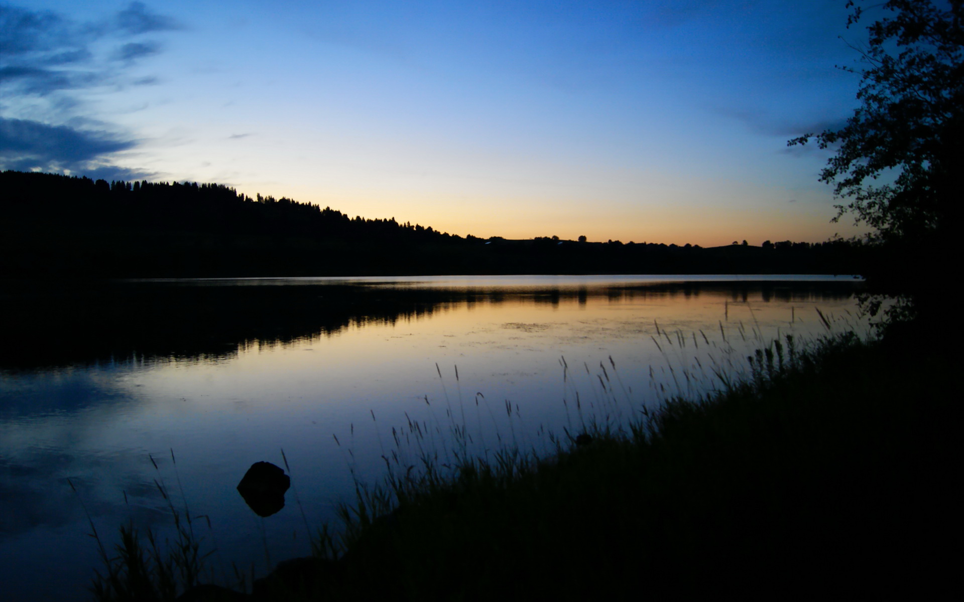 开云-史上最大“黑马奇迹”：从默默无闻到世界之巅，世界上最大的黑马王子