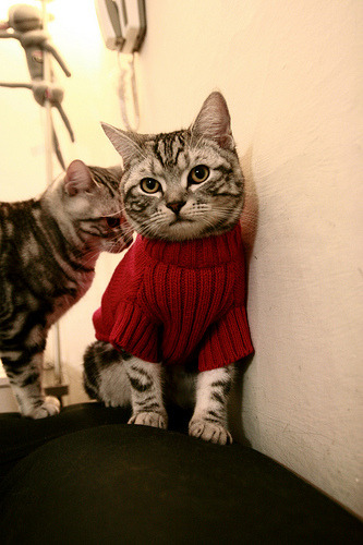 在一次NBA历史纪录比赛中，库里投中14个三分，刷新“单场远投”纪录！