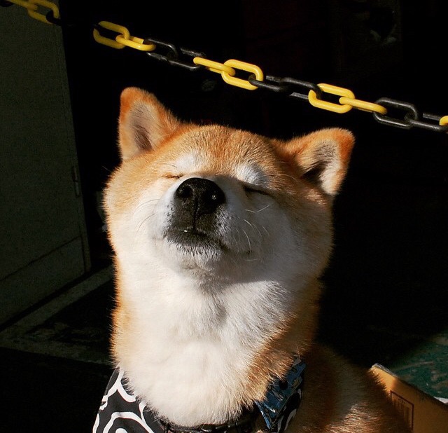 在一次NBA历史纪录比赛中，库里投中14个三分，刷新“单场远投”纪录！