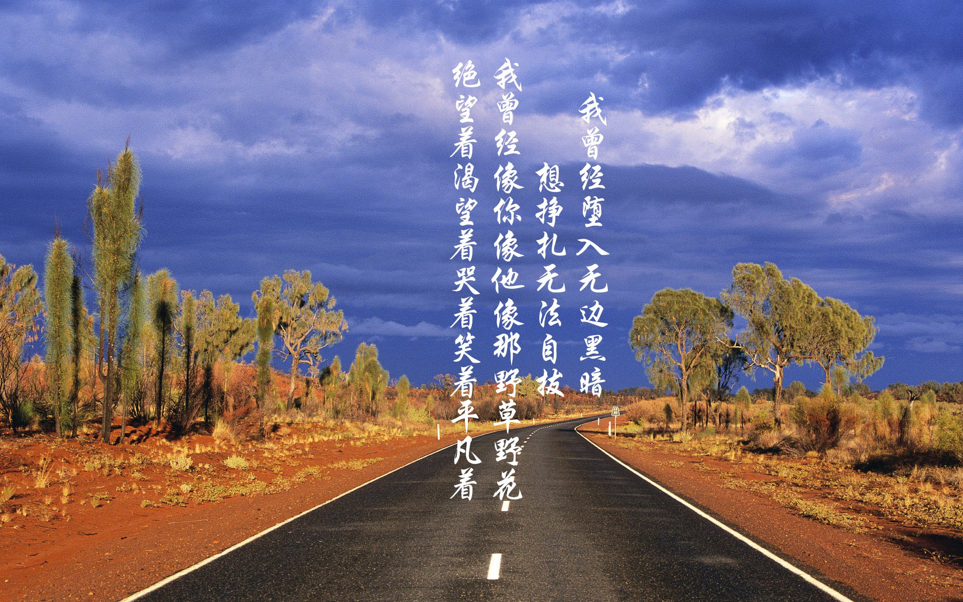 图赫尔接任英格兰国家队主帅，开启新篇章，英超 图赫尔