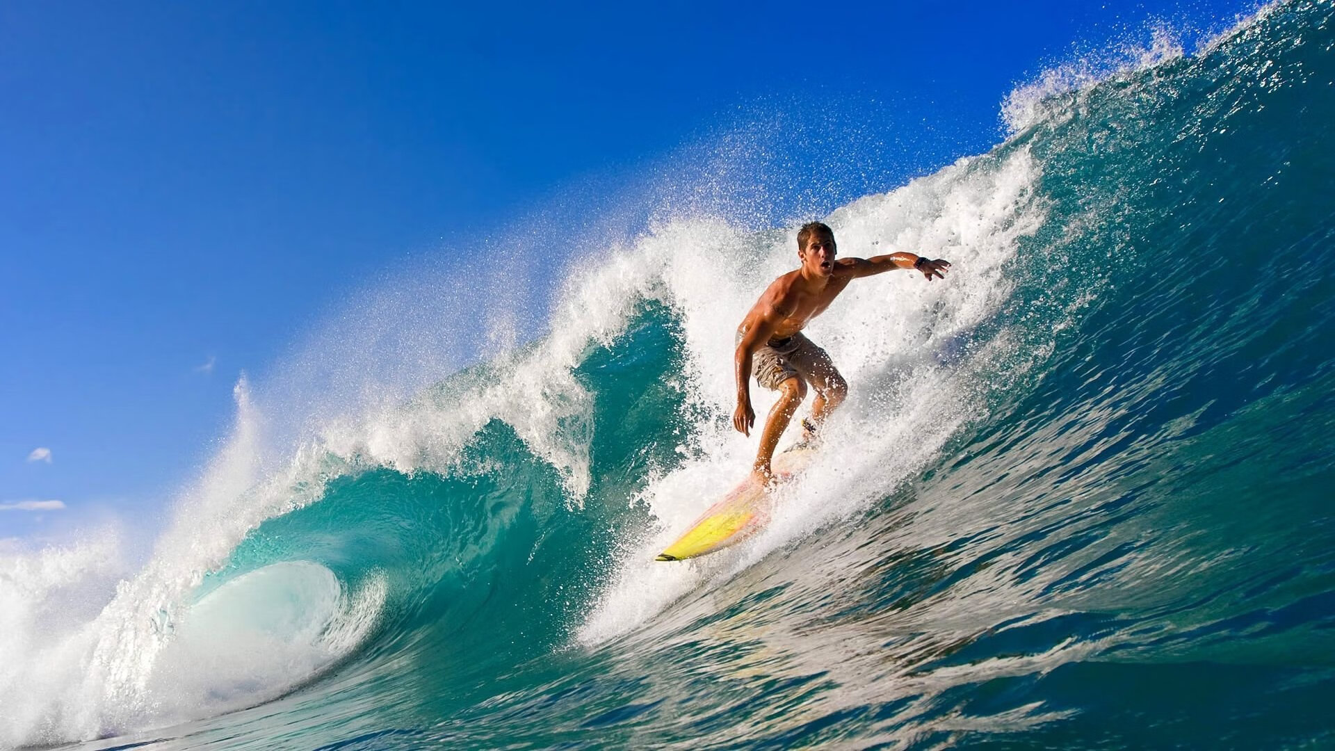 Kaiyun(中国)开云-冬季运动器材展引发采购热潮，运动器材展会有哪些